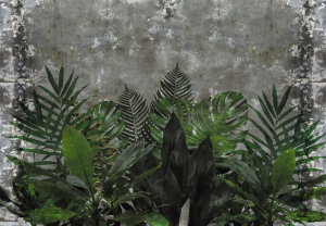 Fotobehang - Betonmuur met planten (2)