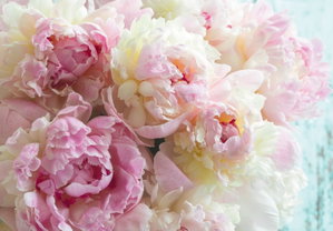 Fotobehang - Bloemen (2)