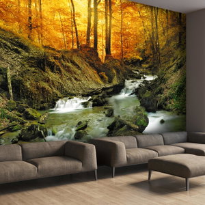 Fotobehang - Bosbeek