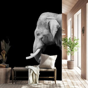 Fototapete - Elefant, schwarz und weiß
