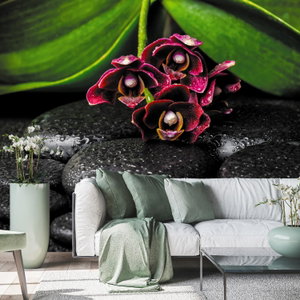 Fototapete - Orchidee und Steine