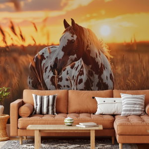 Fototapeta - Kůň při západu slunce
